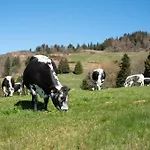 La Colline Horská chata