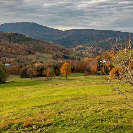 La Colline شاليه Fresse-sur-Moselle