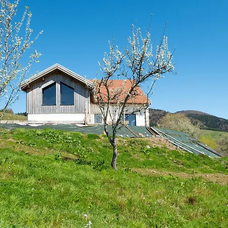 Σαλέ La Colline Fresse-sur-Moselle