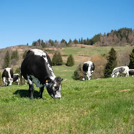 La Colline Σαλέ